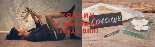 индика Армянск