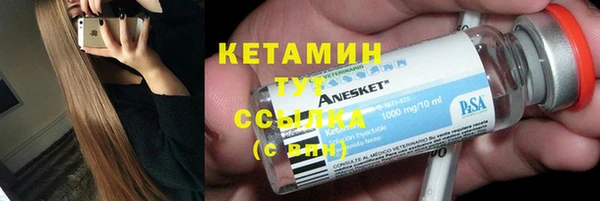 хмурый Аркадак