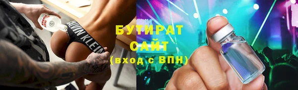 хмурый Аркадак