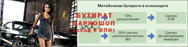 хмурый Аркадак