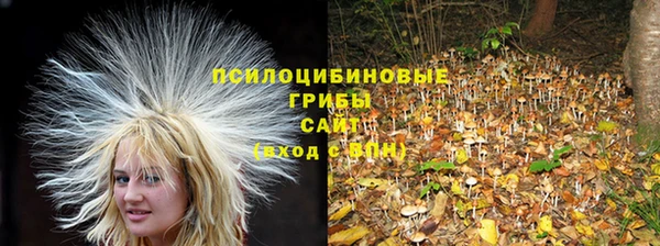 кокаин Арсеньев