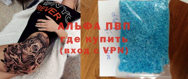 хмурый Аркадак